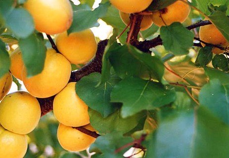 2d60ae8571d8ca40c2c39e3d683ccc8e