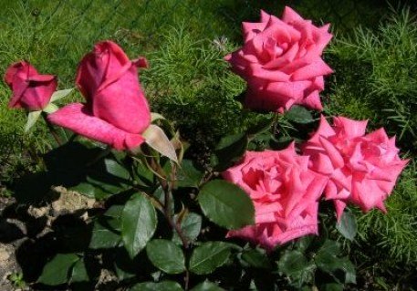 31493ef1e6eba4840120bb53b4fb8cb8