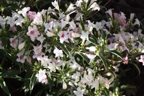 3275504642_w640_h640_3275504642