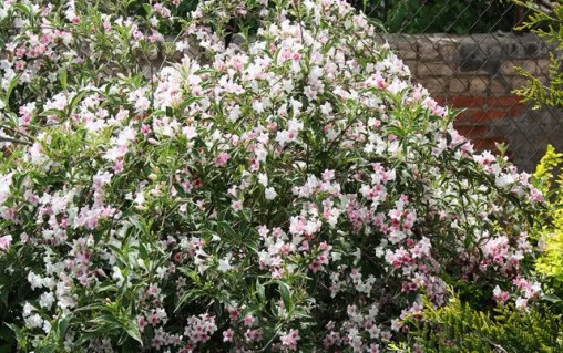 3275504644_w640_h640_3275504644