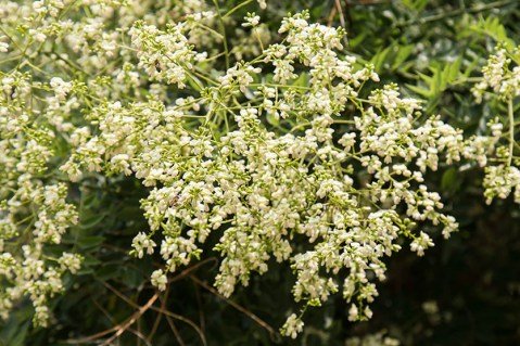 3b00e9e7463f65658bb305c661ef90bd