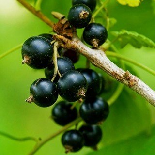 47f80cbc88de387218e03bf20b05fc73e10694c707b0a7ad9816868708c6d379