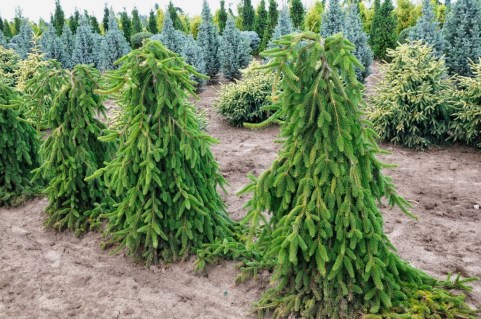 4985816871_db058f82f6_b