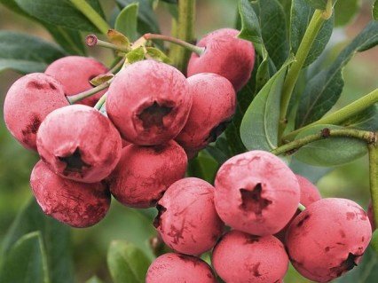 5e004ff5448b841982bd8373c66f5e9e