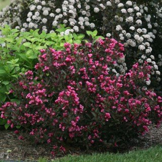 6480951c84f45ce8fdc15bdc79827ba9