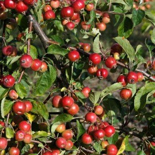 65a248850d73aab11f50a5a787eb9f4d