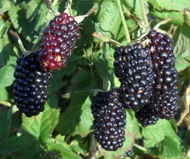 684c4dbb780111811583bcde60b9c7fa-jpg