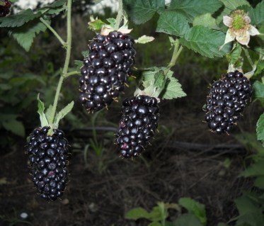 6ddb30d7cf451b84a3f1ea0440909f7d