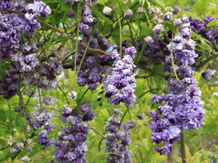 739497d5f74095e71ec730bb06a76d5f