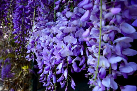 7b01c456ae88e453d47e9aea1834d0e1