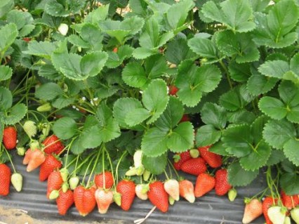 7f3afda58fcc6957b01ebb6299dddecd