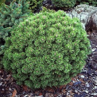 8055305b-f9b4-4cde-be9f-fa1775a70d10_1f1f5e31-2797-11e1-a8da-e091534bb8bd