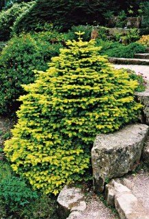 8359703755_c7a08b1d4b