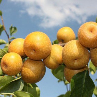 94b9b31e9e061b2d804b3abc95d9d5ee