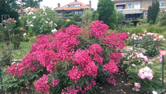 9739e8564a8be76649f3695d471d55ef