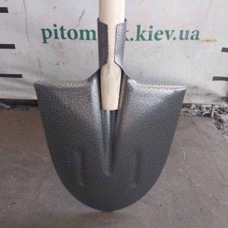 IMG-0187a8281163d0cf47b5d19d67b1f487-V