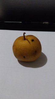 IMG-02e30672182ddd228834fd81876afdc8-V