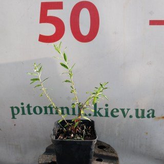 IMG-1ac405afcf085da70cdb19a0003949de-V