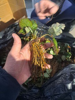 IMG-1c5e391c1a063dcbd953053f141fc8a6-V26