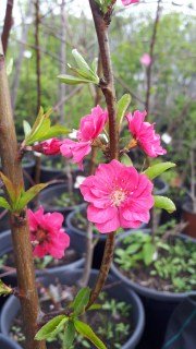 IMG-267138e5adb359b46be76a7957b0861d-V