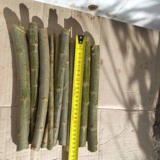 IMG-27ff269c0b7997274e6afdb254e75fae-V