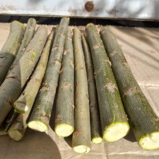 IMG-2ac3bf4083f19addf7302f5db0fc86ce-V