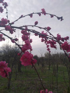 IMG-3cdfa02c8207075d1901fdfb3463ce24-V96