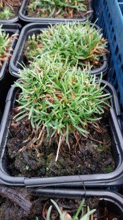 IMG-44f512dbae663643353e7bb01111ec5d-V