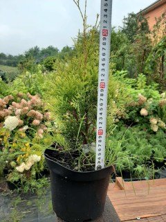 IMG-566ddea68c3a78a66eb3373a59669dfe-V