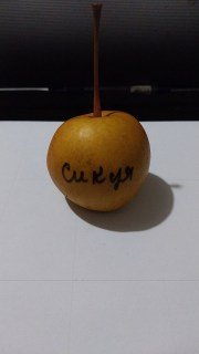 IMG-57c68fa63cecc2165aa6f994a4a287b0-V