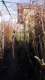 IMG-593b6145271e144f4a0c5c04e495cf60-V