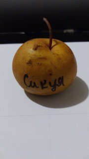 IMG-5b95da595db8b5120eff2997f283325c-V