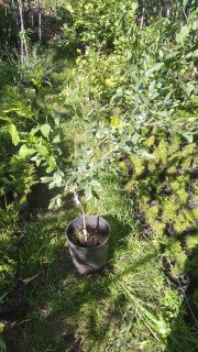 IMG-5d4f1c7ae27321b4d2909cb634c3c7c6-V52