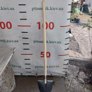 IMG-723961fca74a7e63f62240be827f18bb-V