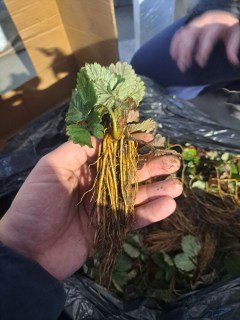 IMG-7f578d0002f5b4b48698969c73108288-V