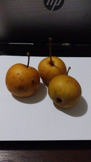 IMG-7f8e7a87396e9bdbadc660aa1868e9f9-V