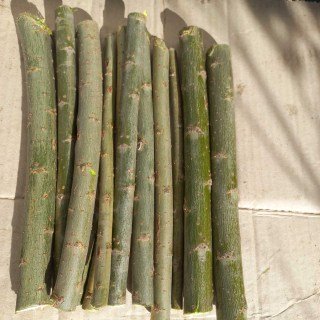 IMG-8b1c7e600fe9bef0220d76410e19dd2f-V