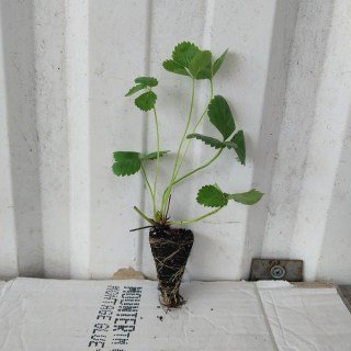 IMG-9095193668e93d7ca8285f86fe974c5a-V