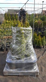 IMG-90994b5a258111a14bfdd7ad1c7406c2-V