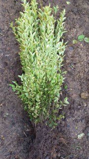 IMG-91e08cfe00811bc9a009955f8099c6a1-V