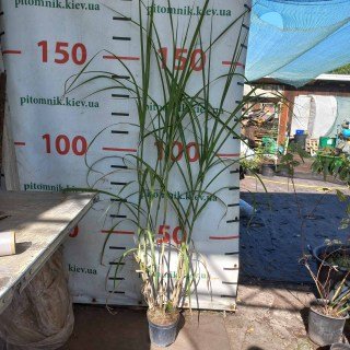 IMG-94a7de3de691cbc9b24e232055b5ea8c-V