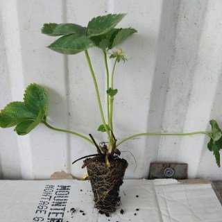 IMG-9530400cb94f3e1b794c294dac328c07-V