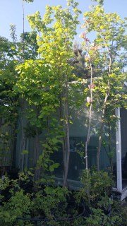 4м. контейнер 69л.