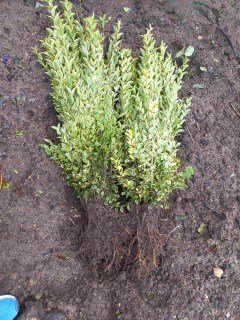 IMG-a39cd616ff34425c68fc06732c28f983-V