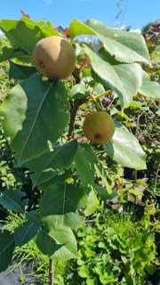 IMG-ab81d513a26409bb558d9107b0900d02-V