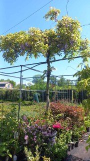 IMG-b0bf2775ee736e9b0383a80e848aa6c1-V53