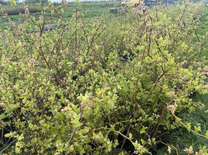 IMG-b5ec6642e313d1fe4c929b6739db9e16-V