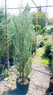 IMG-b78f2f15287217fad23cb47ab92584d3-V