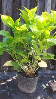 IMG-bd83860046553965754342088aff7765-V