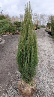 IMG-c3127bcb8156caabb01d7664a528c5ab-V